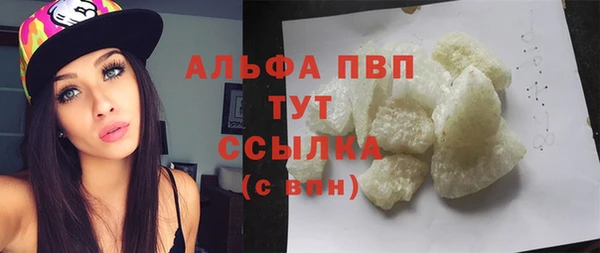 гидра Аркадак