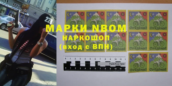 гидра Аркадак